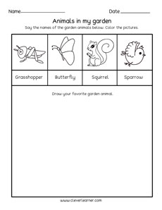 Draw a garen animals and color Draw a garen animals and color