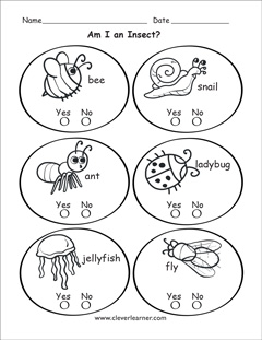 Insect identification for kindergartens Insect identification for kindergartens