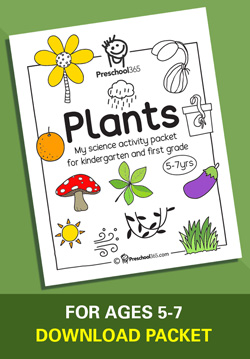Plant science for first grade